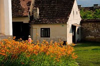 Romania_DSC9558