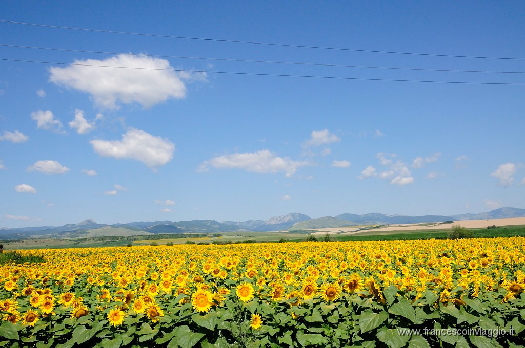 Romania_DSC0073.JPG