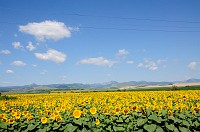 Romania_DSC0073