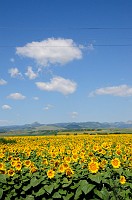 Romania_DSC0074