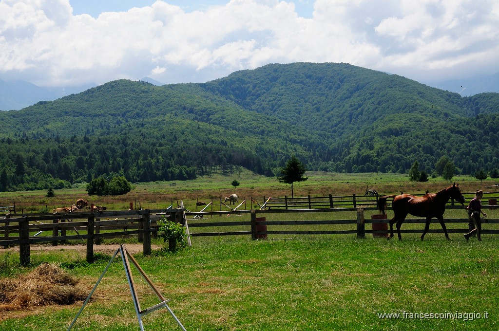 Romania_DSC9093.JPG