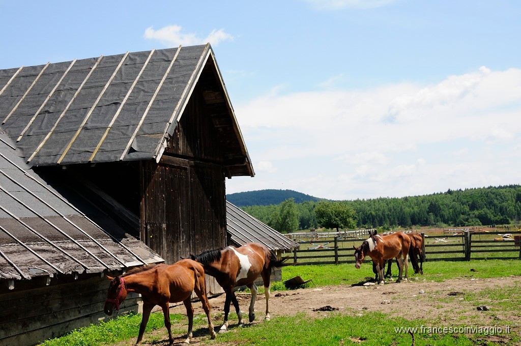 Romania_DSC9096.JPG