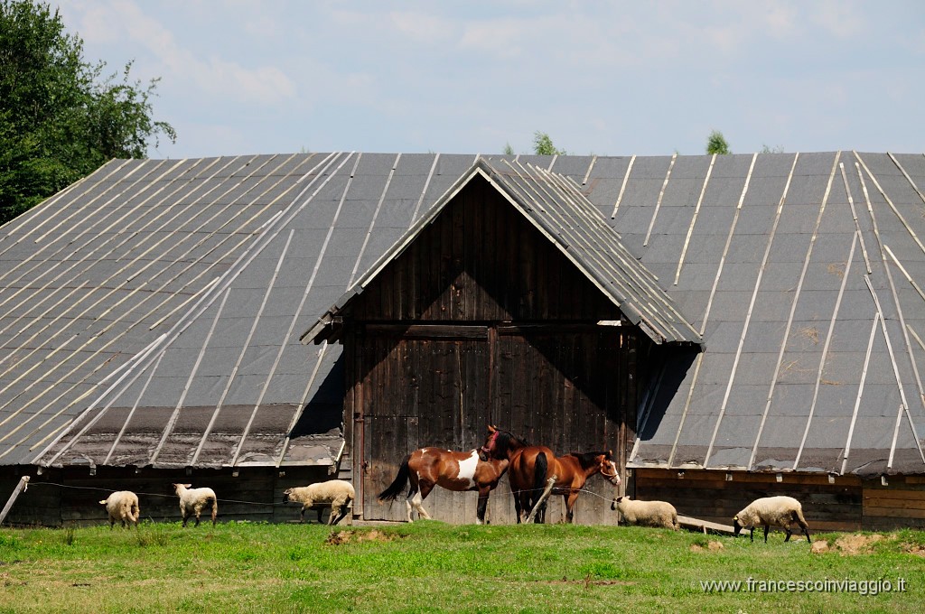 Romania_DSC9108.JPG