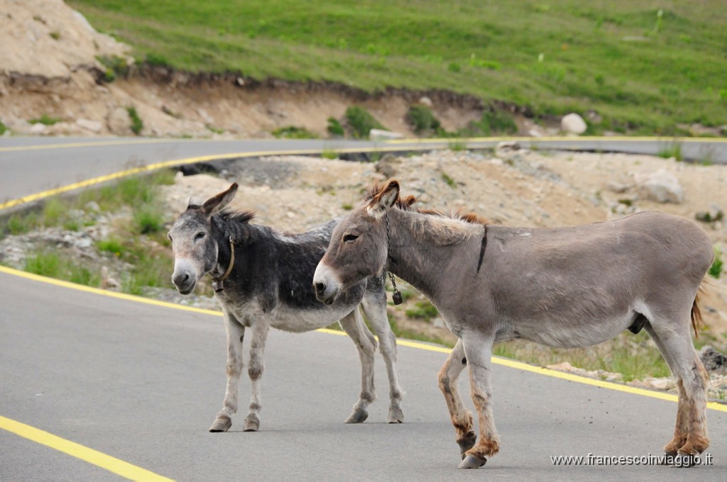 Romania_DSC9346.JPG