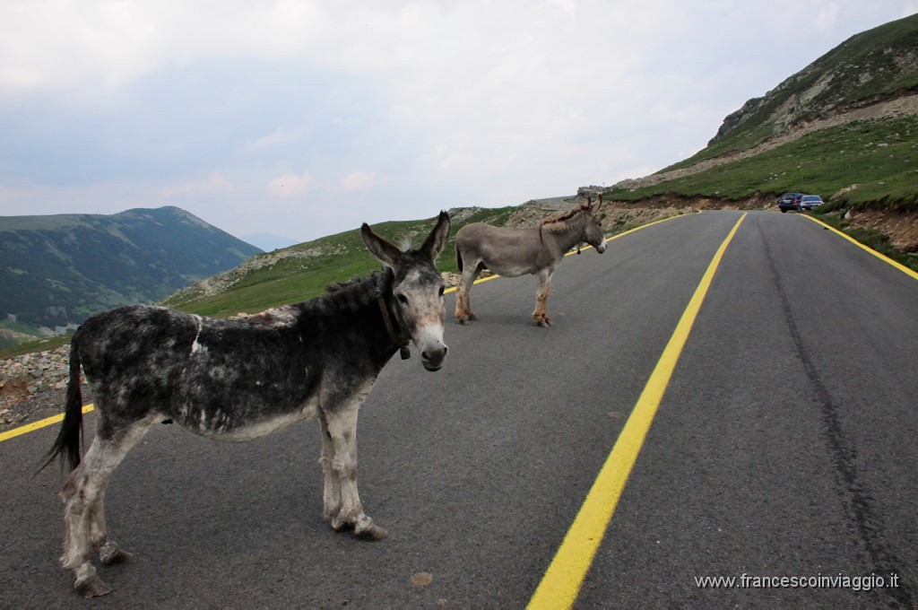 Romania_DSC9351.JPG