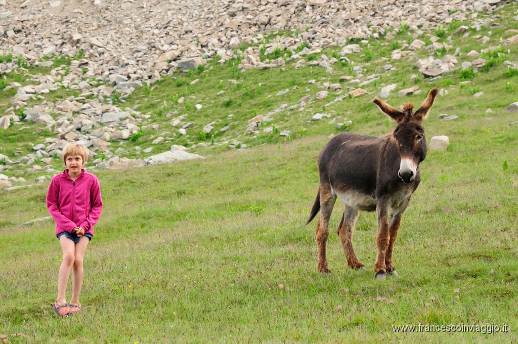 Romania_DSC9355.JPG