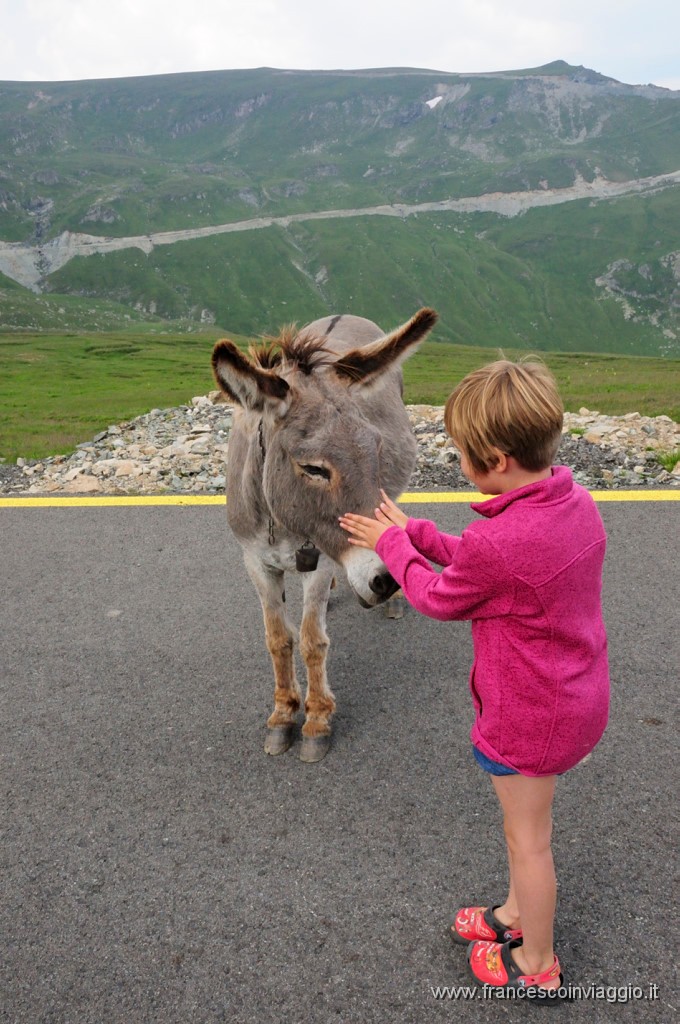 Romania_DSC9360.JPG