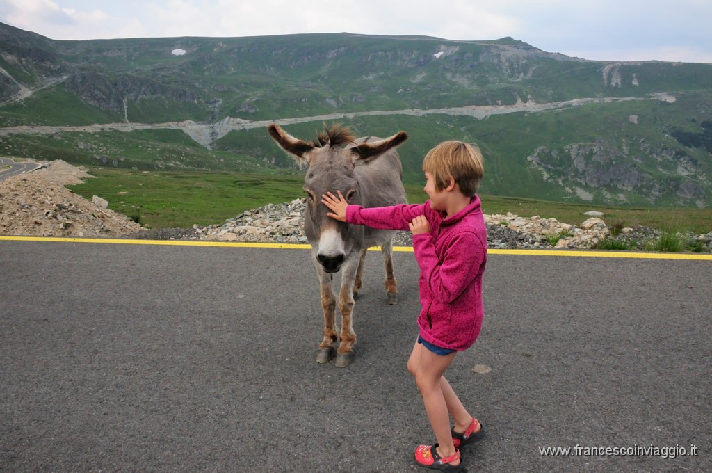 Romania_DSC9361.JPG