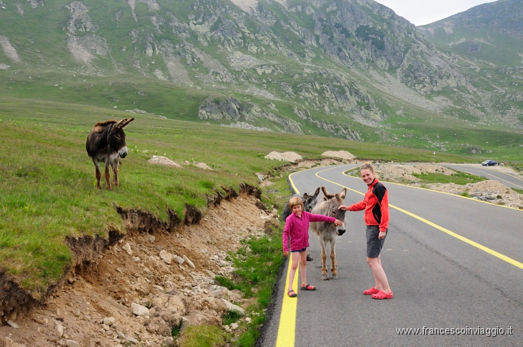 Romania_DSC9382.JPG