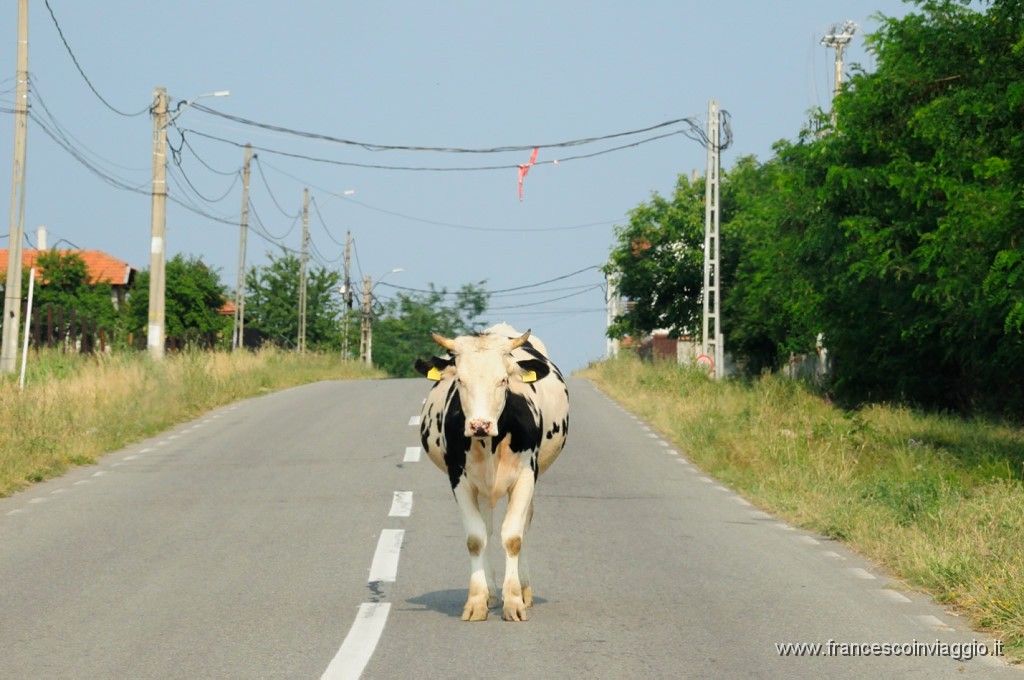 Romania_DSC9396.JPG