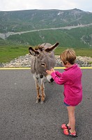 Romania_DSC9360