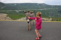 Romania_DSC9361