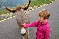 Romania_DSC9367