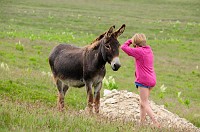 Romania_DSC9368