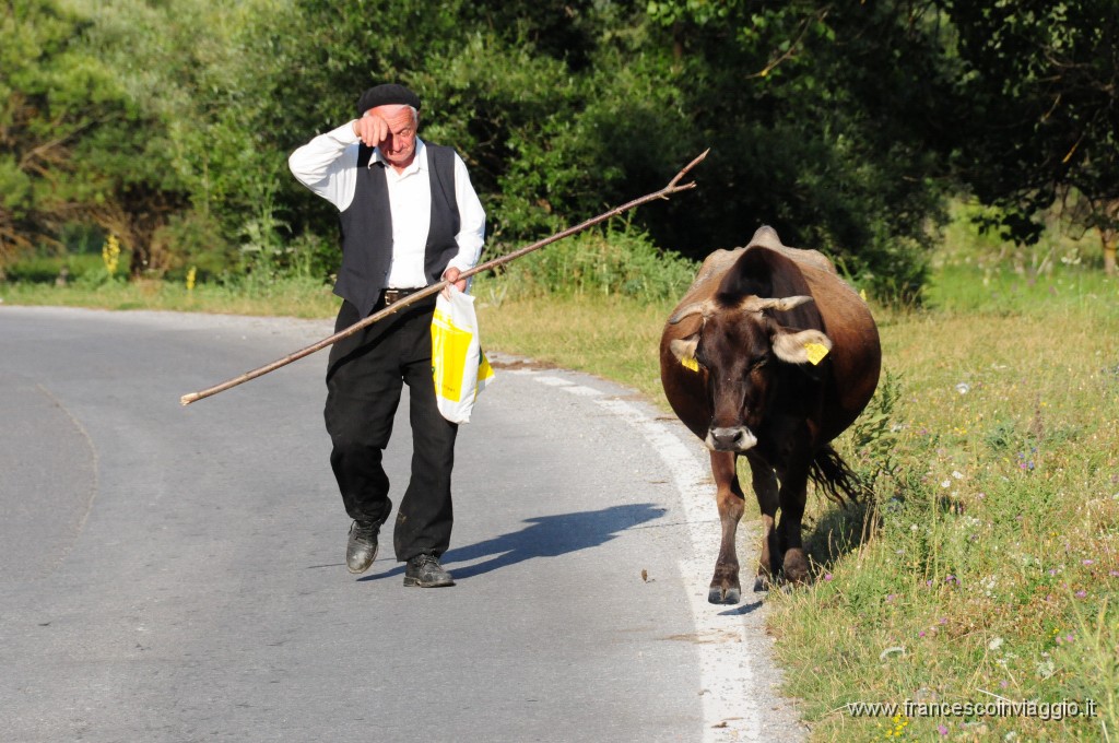 Gusinje461DSC_3311.JPG